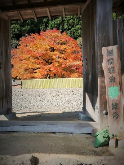 福井県-11　福井市b　一乗谷朝倉氏遺跡　武家屋敷-甲冑/廁-まで復原　☆土塁で囲んだ夢舞台