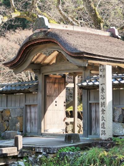 福井県-12　福井市c　一乗谷朝倉氏遺跡　唐門・朝倉館跡-庭園跡　☆礎石に偲ぶ戦乱の痕跡