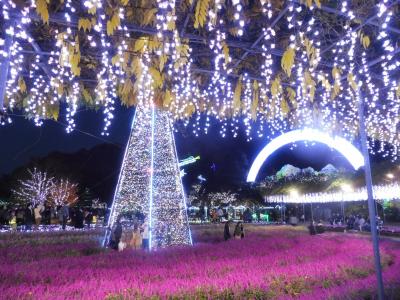 あしかがフラワーパークのイルミネーション