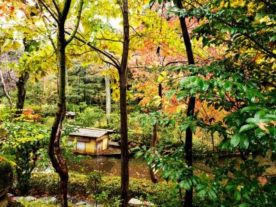 東京 女一人旅 に関する旅行記 ブログ フォートラベル