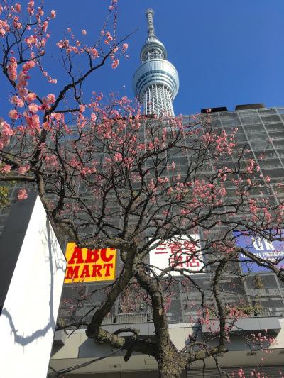 東京スカイツリータウン・周辺神社巡り