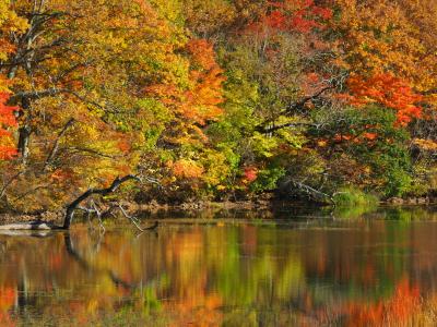 会津・裏磐梯　絶景＆紅葉の旅　(1)　塔のへつりと観音沼で紅葉三昧  　