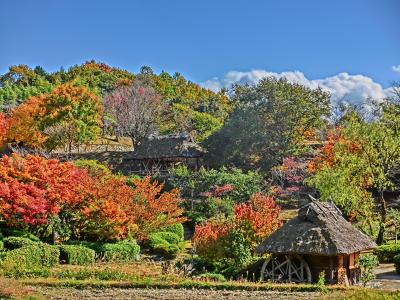 ２０２０・岡山県内をドライブ旅（その１１）八塔寺ふるさと村へ（備前市）