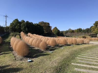 馬見古墳群～巣山古墳、ナガレ山古墳