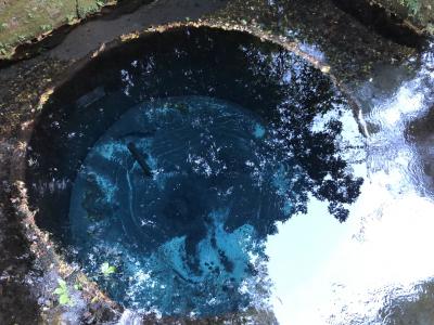 水の都・三島を巡る