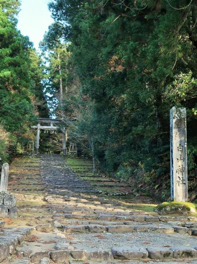 福井県-18　勝山市a　白山平泉寺旧境内＝平泉寺白山神社　☆1300年余の歴史・苔むす国史跡