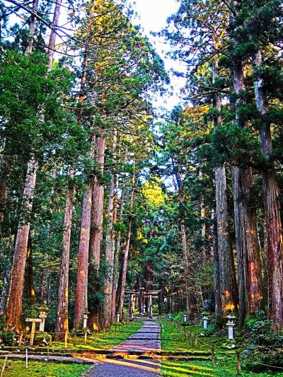 福井県-19　勝山市b　平泉寺白山神社-晩秋　社殿-雪除け支度　☆弁慶の足跡石-踏みしめ