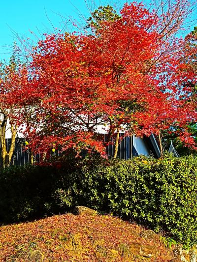 福井県-20　勝山市ｃ　日本一好み　車窓～勝山城？越前大仏も　☆白山平林寺→あわら温泉