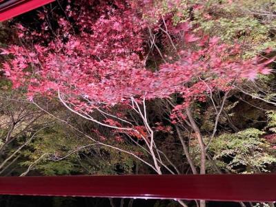 今年の京都の紅葉（その３）天龍寺・宝厳院・渡月橋・嵯峨野・トロッコ電車