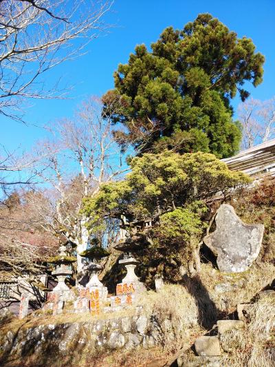 大山ーヤビツ峠ハイキング