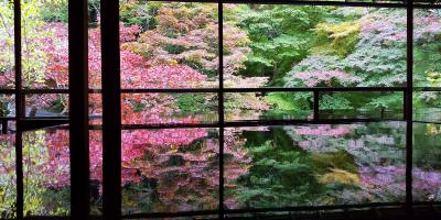 歩き過ぎの京都一人旅 1日目