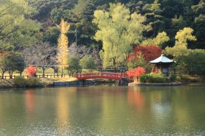 錦繍の紅葉を追いかけて♪　定光寺、定光寺公園＆豊田市美術館のお茶室の紅葉♪