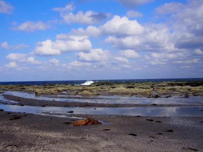 紅葉の青森・秋田旅行　3日目①　リゾートしらかみ　弘前から十二湖