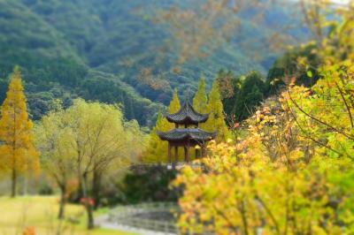 いちき串木野市の冠嶽の紅葉と黄葉。