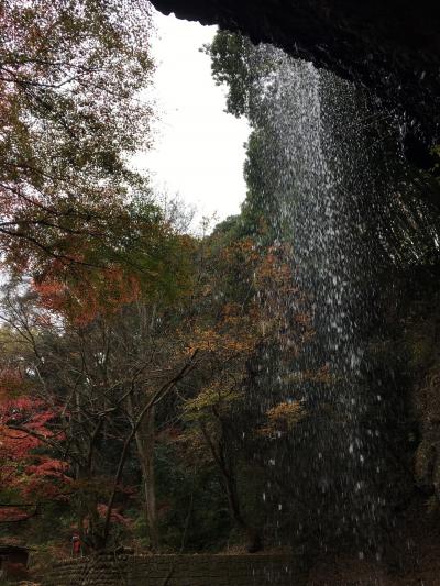 紅葉の袋田の滝と　月待の滝へ