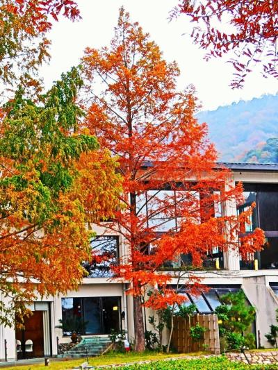 福井県-24　若狭ｃ　ホテル-水月花　うなぎせいろ飯+α-昼食　☆小雨降る水月湖畔-散歩