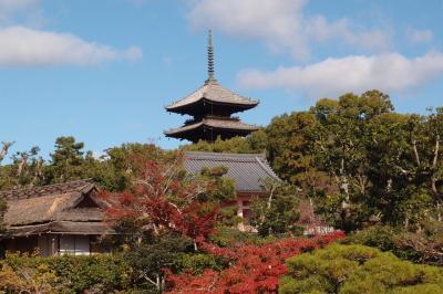 秋の紅葉散策・3日目