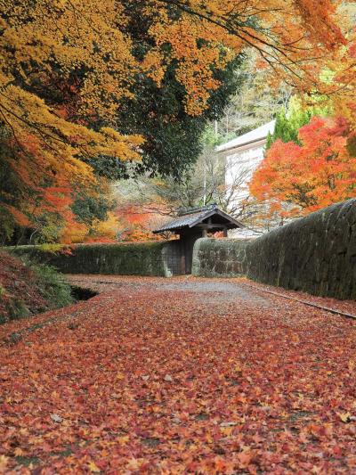 舞い落ちるモミジ　赤く染まった旧閑谷学校