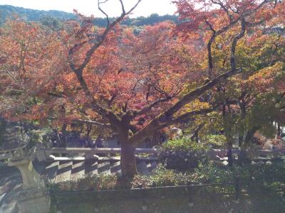 清水寺