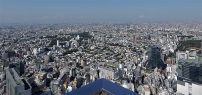 秋の街歩き　渋谷スカイ　～　宮下公園　～　原宿