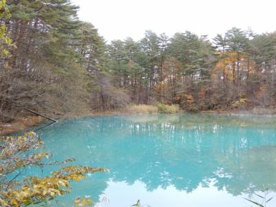 GOTOトラベルで行く　新幹線を利用した　裏磐梯　五色沼