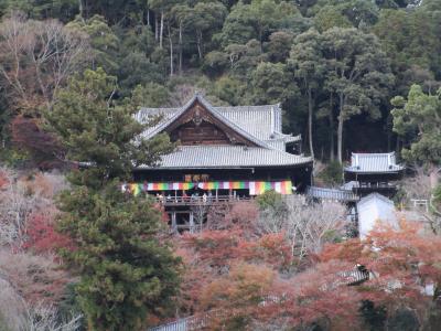 晩秋の奈良、名残の紅葉と奈良和食の休日　2020