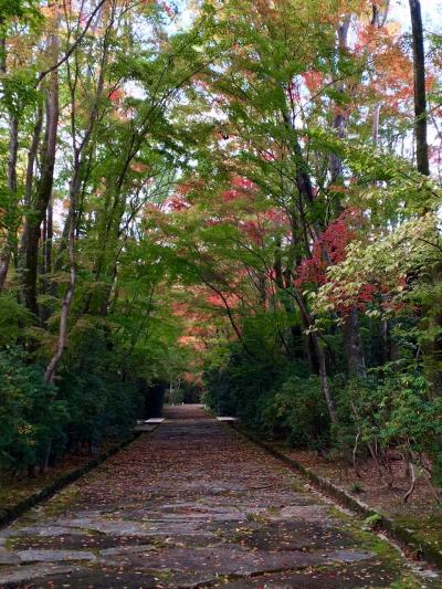 秋の奈良・京都　眼福口福　ゆったり時間を味合う旅
