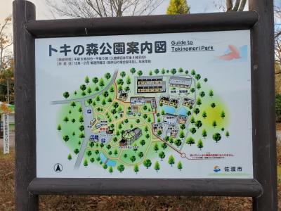 初めての佐渡、さーどーだ⁉️その4