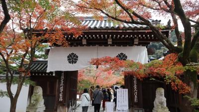 暮秋の京都で紅葉の見どころをめぐる旅。