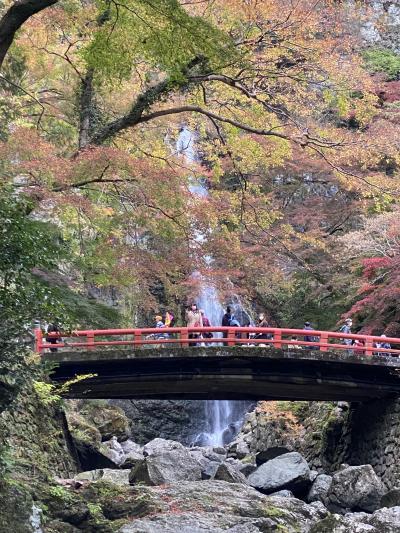 2020.11紅葉探して箕面大滝から勝尾寺、大門寺