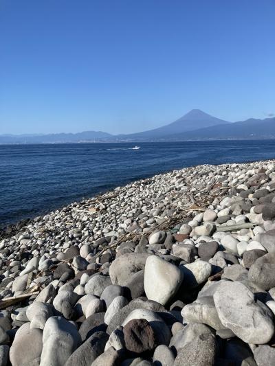 コロナ禍の中での同窓会旅行　人混み避けて満喫　東京から1時間の旅