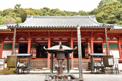 ソロツー：南朝の寺院に紅葉を訪ねる：金剛寺と観心寺