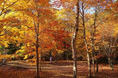 浅間隠山へ紅葉登山＆北軽井沢温泉と牧場ハイキング