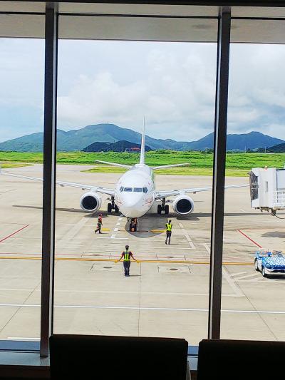 初！石垣島！やっぱり行ってしまいました…ご