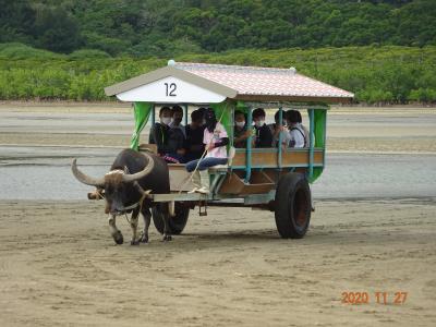 ～５日間でゆったり巡る～　八重山諸島・宮古諸島１０島めぐり５日間の旅　そのニ