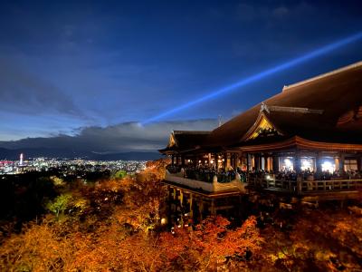 そうだ 京都、行こう。紅葉の名所へ ☆1・2日目☆ ～永観堂・圓徳院・清水寺～