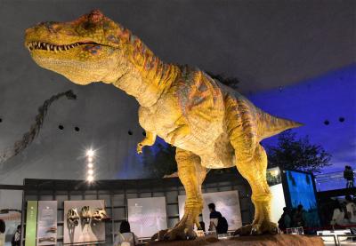 恐竜博物館と苔寺と呼ばれる白山平泉寺2020～大規模な恐竜骨格展示～（福井県勝山）