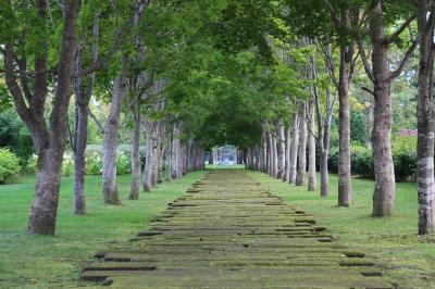2018秋 美術村と六花亭、柳月、温泉他　広い十勝を走り回る