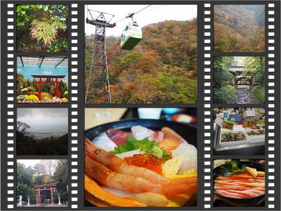 初めての新潟グルメ旅　③紅葉の弥彦神社と寺泊で海鮮丼