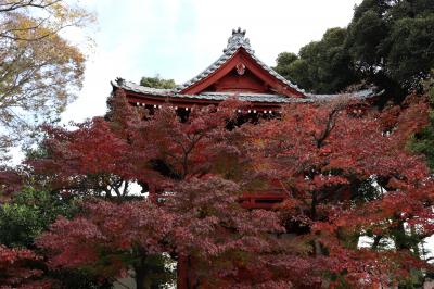 ＮＨＫで放送された本土寺の紅葉