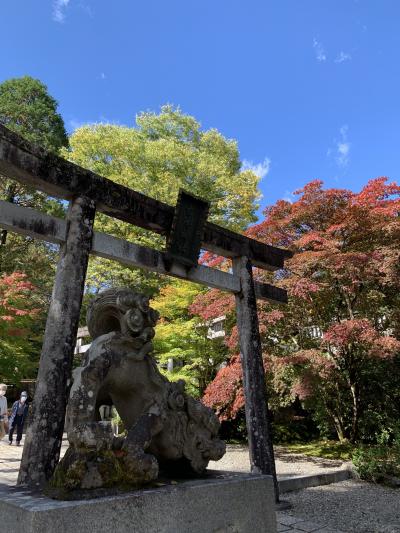 2020年 秋の日帰りドライブ とちぎの天狗と紅葉