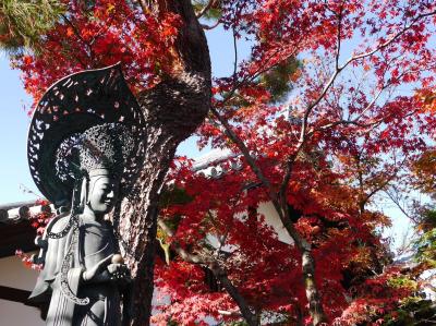 晩秋の京都③（２日目前半）☆妙心寺（秋の特別拝観、退蔵院、大法院、桂春院）・仁和寺☆2020/11/24