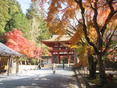 奈良の寺社と仏像をめぐる旅、２日目　紅葉が美しい室生寺、長谷寺へ