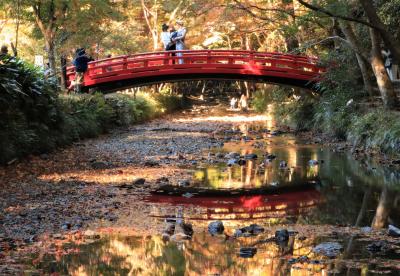 紅葉もいよいよフィナーレに♪　早朝の香嵐渓＆遠江国一宮小國神社の紅葉♪