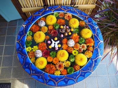 川越でも花手水が見られるというので、最明寺・川越八幡宮などへ行ってみました