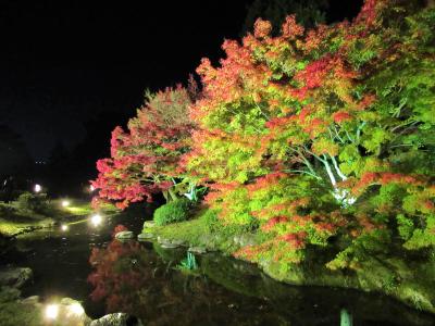 四国③＆⑧ 栗林公園の紅葉・秋のライトアップ・花園亭の朝がゆ　2020/11/25（水）