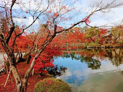 紅葉の京都ずらし旅 2日目 銀閣寺から祇園四条までてくてくお寺巡り