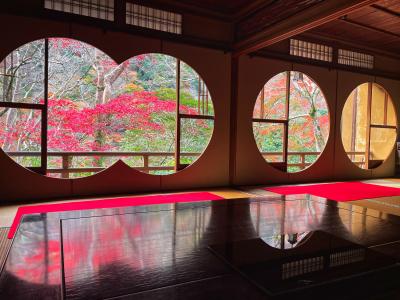 京都で1泊☆晩秋の嵐山をぶらぶら散策《前編》