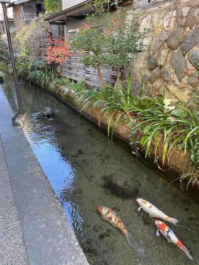 郡上八幡で町巡りと、郡上八幡城