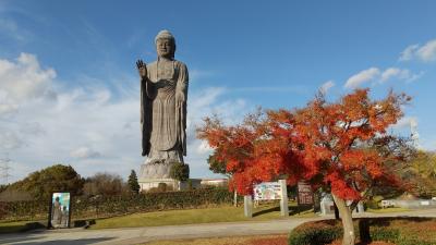 紅葉終盤の筑波山＆牛久大仏